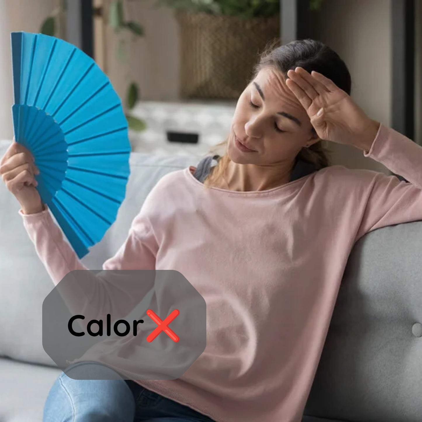 Ventilador con Humidificador
